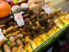 -菌自由丨野生菌火锅特色庭院餐厅(丽江古城店)