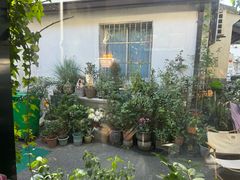 -家烧面馆【南山路知名经典面食】