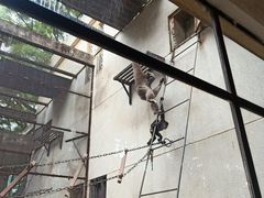 -昆明动物园