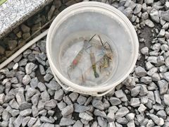-DGE季风钓虾营地·团建·聚会