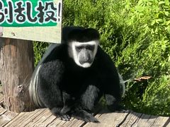 -大连森林动物园