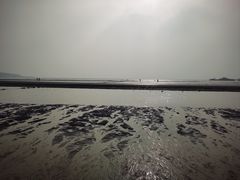 -青岛第一海水浴场