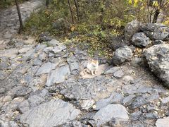 -阳台山自然风景区