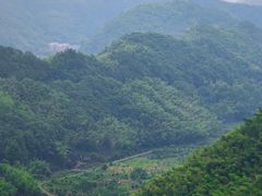 -溪口-滕头旅游景区