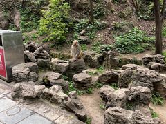 -御轩足道·SPA·养生·保健(瑞金北路店)