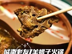 -城南老友羊蝎子火锅(花乡奥莱店)