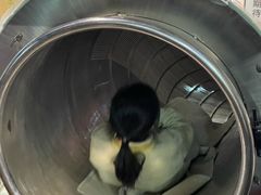 -巴黎春天(浦建店)