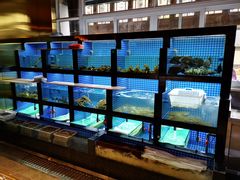 水产区-徽三说·土徽菜·中国徽菜连锁品牌(一中店)