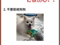 -美联众合动物医院·24h转诊中心