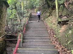 -缙云山景区