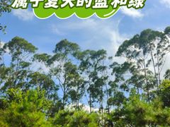 -白云山风景名胜区