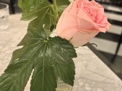 -西堤牛排(南京龙江店)