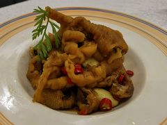 腊八蒜味酱鸡爪-九头鸟酒家(四道口店)