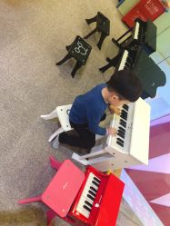 -泡泡米POPOME益智乐园(洪殿花园旗舰店)