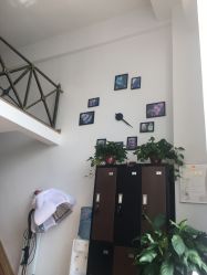 -ONE·男士国潮·美式渐变·理发馆·BARBER SHOP