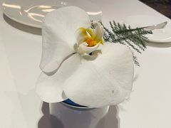 -AZUR聚(香格里拉饭店)