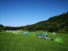 -武陵山森林公园