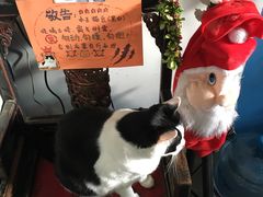 -Anne猫窝咖啡屋