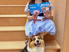 -帕帕拉兹宠物(亚洲旗舰店)