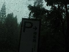 -黄海国家森林公园