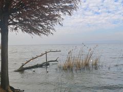 -捞渔河湿地公园