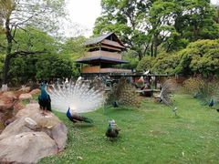 -昆明动物园