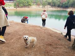 -南京市无想山景区