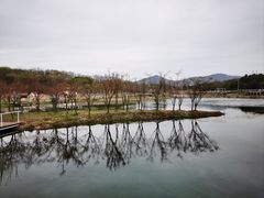 -佛手湖郊野公园