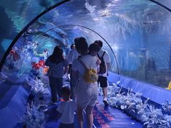 -重庆欢乐海底世界