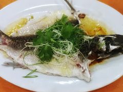清蒸瘦身鲩-华翔农庄(沙埔店)