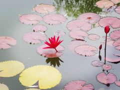 -国家植物园南园