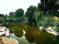 -北京西山国家森林公园