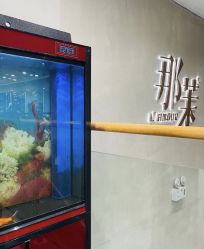 -那茉 Hair Salon