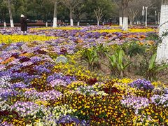 -汉堡王(颐和汇邻湾广场店)