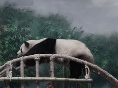 -杭州动物园
