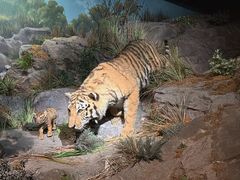 -武汉园博园(武汉自然博物馆)