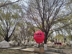 -长白岛森林公园