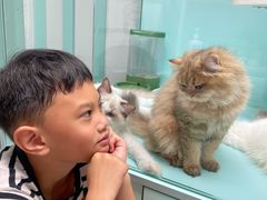 -猫宠乐园·专业洗护
