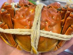 -小陆莲花蟹园农家乐(莲花岛店)