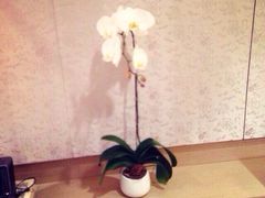 iphone_upload_pic-北京康莱德酒店