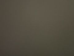 -沈坚强游泳俱乐部(武宁南路店)