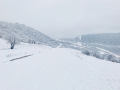 -太子岭滑雪场
