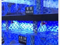-莲花公园煎蟹(总店)