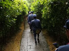 -井冈山革命烈士陵园