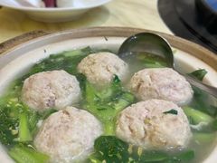 -丁老爷子苏香圆