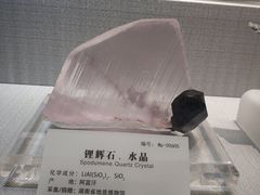 -湖南省地质博物馆