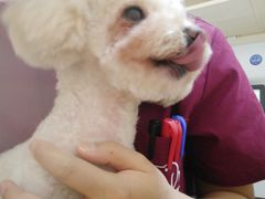 -芭比堂动物医院·犬猫全科·异宠专科(雁塔分院)
