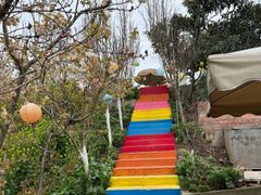 -桃源山庄·水蜜桃采摘·柴火鸡·烧烤团建(龙泉山店)