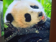 -中国湿地博物馆