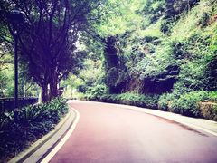 -金鸡山公园
